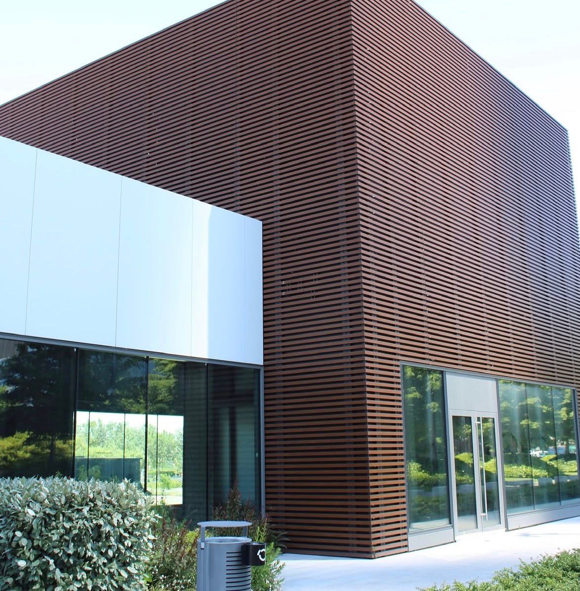 WhatsApp Image 2026-01-26 at 01.06.23